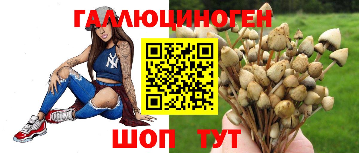 Псилоцибиновые грибы MAGIC MUSHROOMS Рассказово