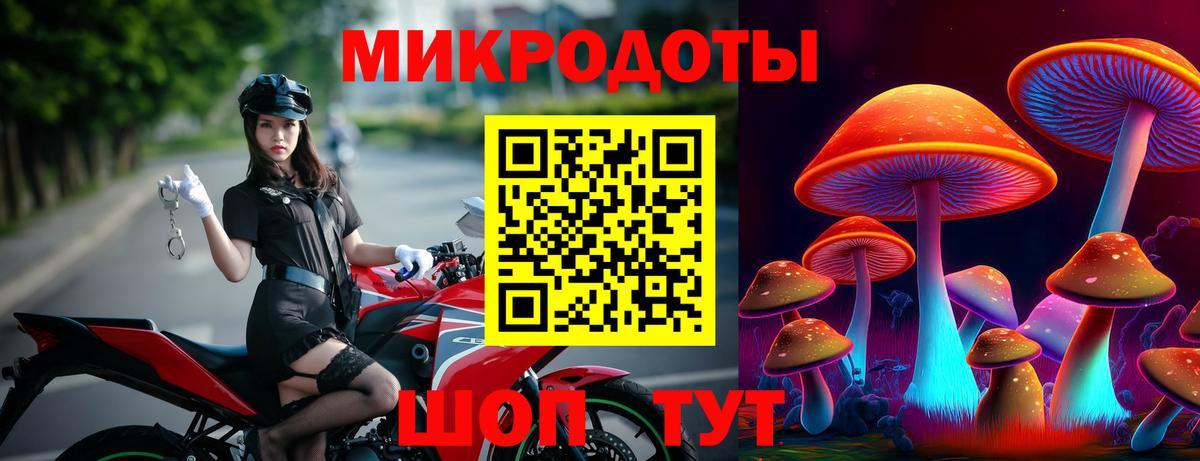 Галлюциногенные грибы Psilocybe  Вход с VPN  Рассказово  Псилоцибиновые грибы прущие грибы 